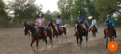 Horse Safari in India