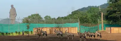 Sardar Patel Zoological Park, Gujarat